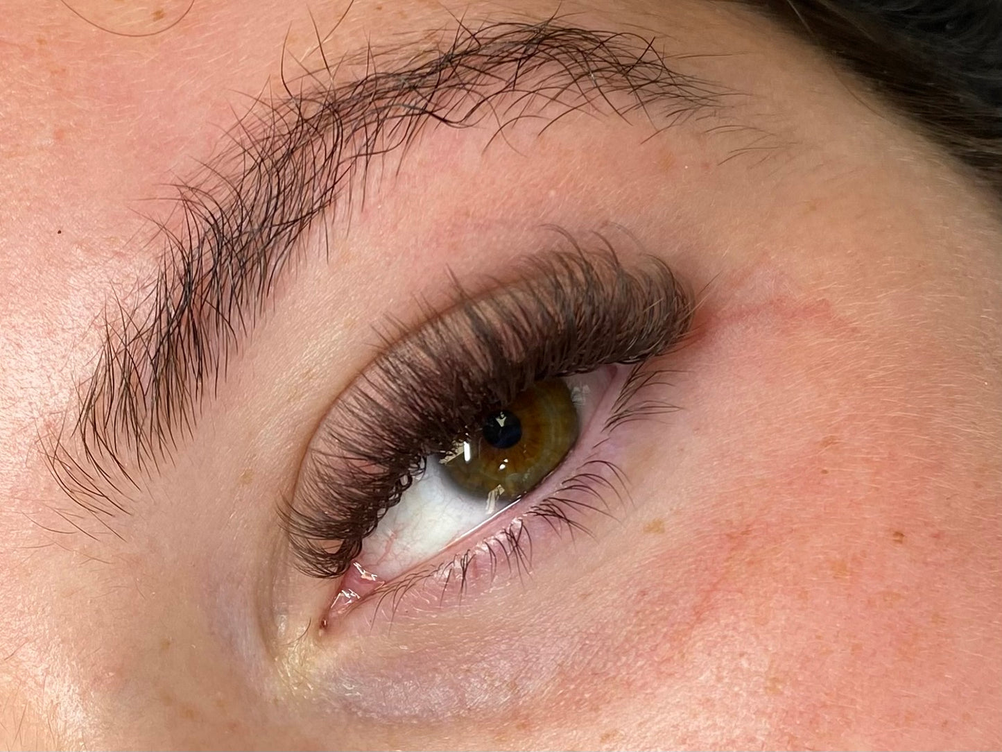 Brown EasyFan Lashes